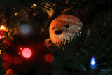 Christmas Lights